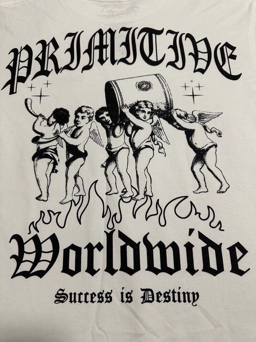 Primitive Skateboarding Success Is Destiny Graphic T-Shirt, Size Small